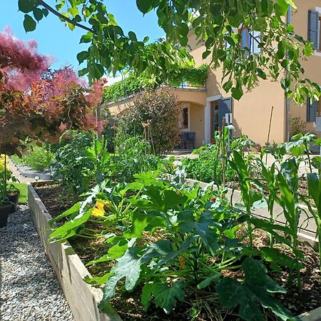 Appartement Entre Sisteron Et Gorges De La Meouge " Les Hauts De Toscane " Ribiers Екстериор снимка