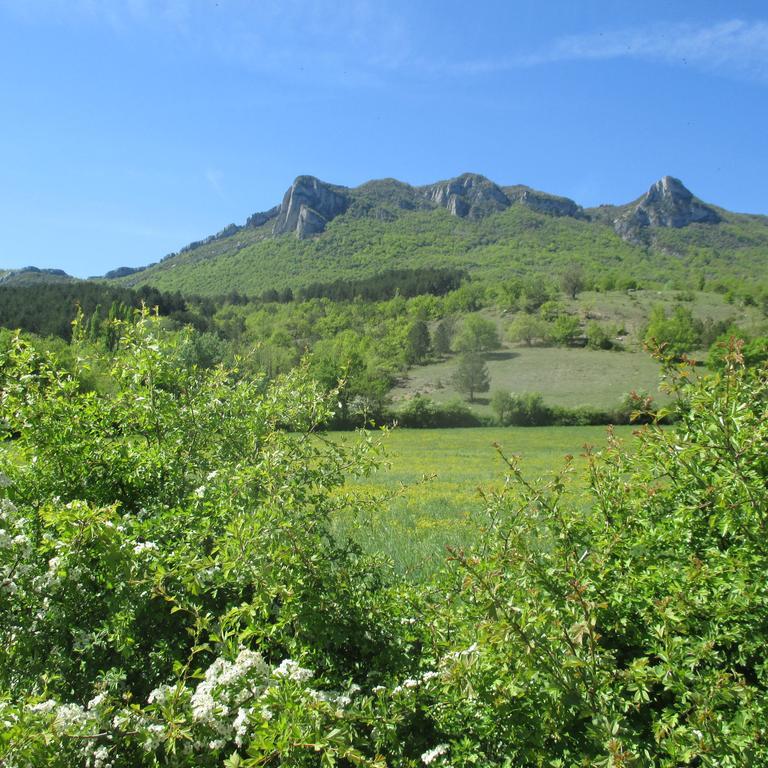 Appartement Entre Sisteron Et Gorges De La Meouge " Les Hauts De Toscane " Ribiers Екстериор снимка